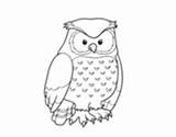 Owl Coloring Adult Horned Great Coloringcrew Birds Pages sketch template