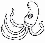 Squid Minecraft Clipartmag Drawing sketch template