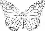 Template Butterfly Coloring Print Symmetry Pages Templates Clipart Sketch Popular sketch template