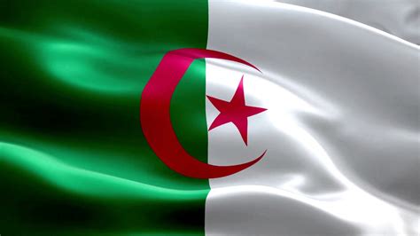 algeria flag animation  algeria flag waving hd  flag animation siddam bharat youtube