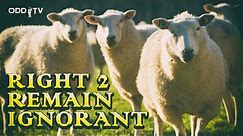 O.D.D TV | Right 2 Remain Ignorant (feat. Steve Grant)