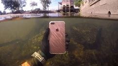 Found Lost iPhone Underwater in River While Snorkeling! (Freediving) | DALLMYD