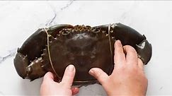 How to clean and prepare a whole crab