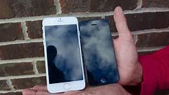 iPhone 6 vs iPhone 5