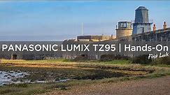 Panasonic Lumix TZ95 | Hands-On First Look