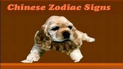 Chinese Zodiac Sign Meanings : The Dog Chinese Zodiac Sign