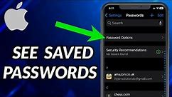 How To See Saved Passwords On iPhone