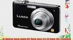 Panasonic Lumix DMC-FS4 Black 8.1MP Digital Camera