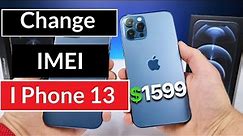 Change IMEI number iPhone 13 Pro Max in Hindi | 2023