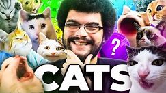 Why Cat Meme Coins Will ALWAYS Win - Dog Coins Are TRASH! (My Top Picks)