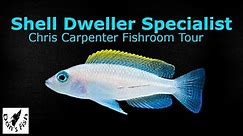 Shell Dweller Cichlid Fishroom Tour w/Chris Carpenter