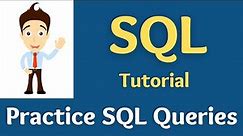 SQL Basics Tutorial for Beginners (Practice SQL Queries)