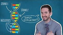 Clint Explains DNA Base Pairing Rules