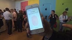 How the iPhone fingerprint scanner works