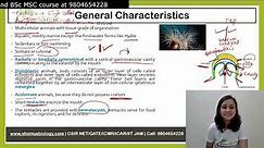 Phylum Cnidaria general characteristics and classification