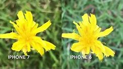 iPhone 7 vs. iPhone 6 Front and Rear Camera Comparison (Photos)