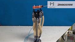 High-Power Hydraulic Artificial Muscle for Tough Robots