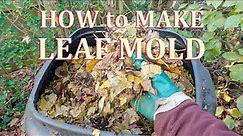 How to make Leaf Mould (Mold) the Easy Way