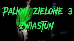 PALION - ZIELONE 3 [ZWIASTUN] [OFFICIAL MUSIC VIDEO ]