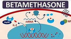 Betamethasone - Mechanism, precautions, side effects & uses