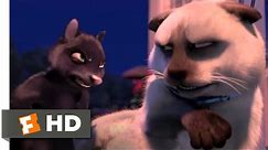 Over the Hedge (2006) - Cat vs. Skunk Scene (6/10) | Movieclips