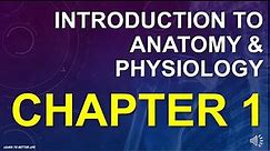 Introduction to Anatomy & Physiology - Chapter 1