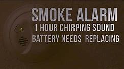 Smoke Alarm Battery Needs Replacing Low Battery 1 Hour Annoying Chirping Sound