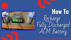 How to Charge a Fully Discharged AGM Battery