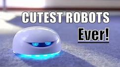 Cute Robots You Can BUY - Robots are Your Ultimate Life Hack