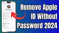 How to Remove Apple ID from iPhone without Password - 2024