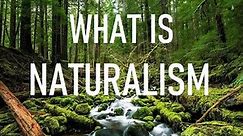 What is Naturalism?