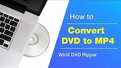 How to Convert DVD to MP4 for Playing Anywhere Anytime