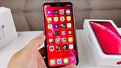 iPhone XR Amazon Renewed: 1 Year Later Review