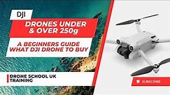 What DJI Drone to Buy for Under $1,000 (£1,000) - Beginners Guide - New or Used, Under or Over 250g