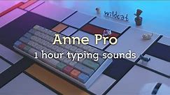 Anne Pro 1 Hour Keyboard Typing Sounds ASMR (No talking, No music, No mid-roll ads)