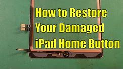 iPad Torn Home Button Flex Cable Repair