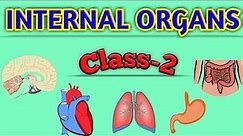 Class 2 OUR BODY Internal Organs SCIENCE Olympiad