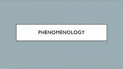 Philosophy 101: A Basic Introduction to Phenomenology