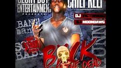 Chief Keef- I Don't Like ft Lil Reese (Back From The Dead)