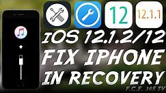 iOS 12.1.2 / 12 - How To Take An iPhone Out Of Recovery Mode With Fixppo (Review)