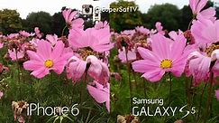 iPhone 6 - 6 Plus vs Samsung Galaxy S5 - Camera Test Comparison