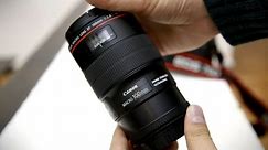 Canon 100mm f/2.8 'L' Macro IS USM lens review with samples (Full-frame and APS-C)
