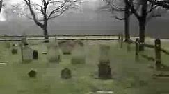 Steve Irwin Burial Site