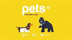 Pets.ID - Introducing Pet Tag by Pets.id. A modernized...