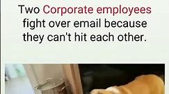 Two Corporate Employees fight over email because they can't hit each other. 😮😮😮 #corporatememes