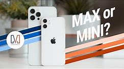 iPhone 12 mini vs 12 Pro MAX: Unboxing & Size Comparison