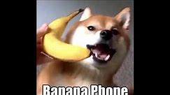 banana phone, but extended