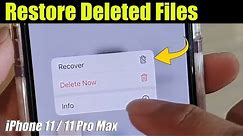 iPhone 11: How to Restore Deleted Files in Files App