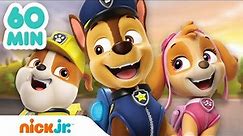 Funny PAW Patrol Memes: Can You Watch Without Laughing?