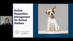 Online Reputation Management for Animal Shelters
